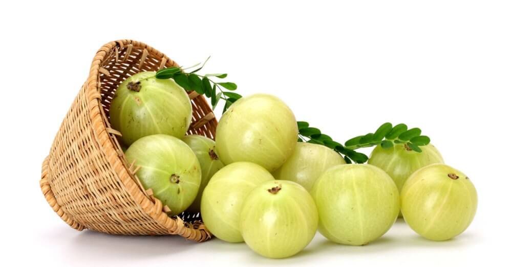 Indian gooseberry